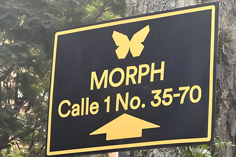 Morph 701 - Spacious apt City View Haven