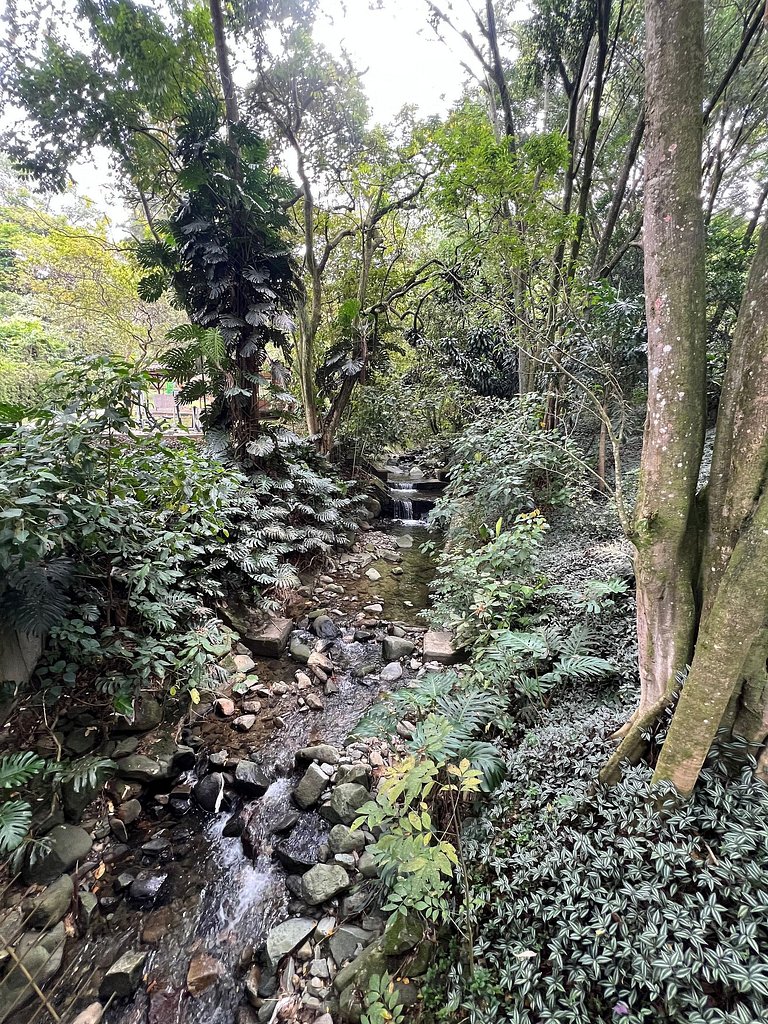 Poblado Del Campestre 203 - Comfort & Exclusivity