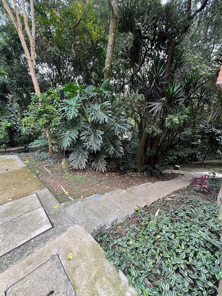 Poblado Del Campestre 203 - Comfort & Exclusivity